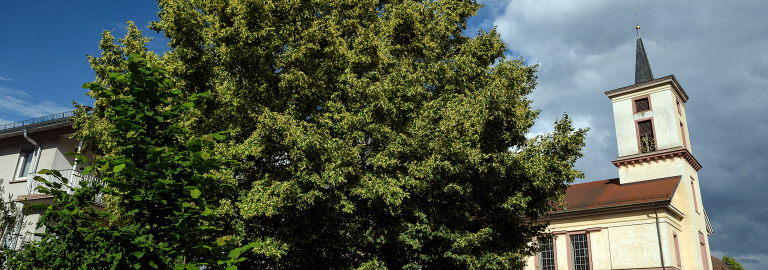 Kirche mit Dorfplatz